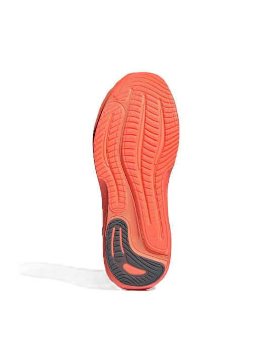 Supernova Rise Men's Sport Shoes Running Aurora Onix / Silver Metallic / Lucid Orange