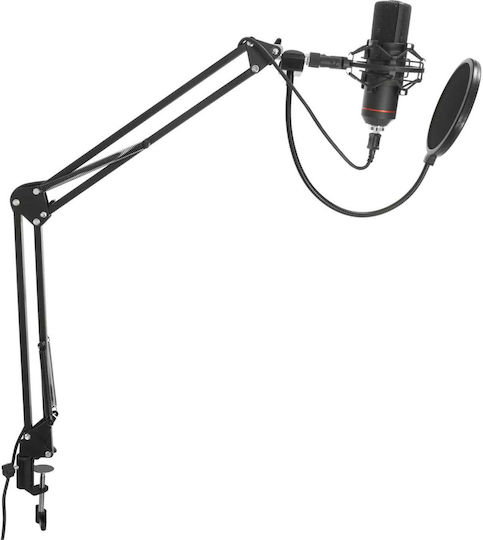 BST STM3000 Plus Pop Filter Set Kondensatormikrofon USB Stoßmontiert für Gesang
