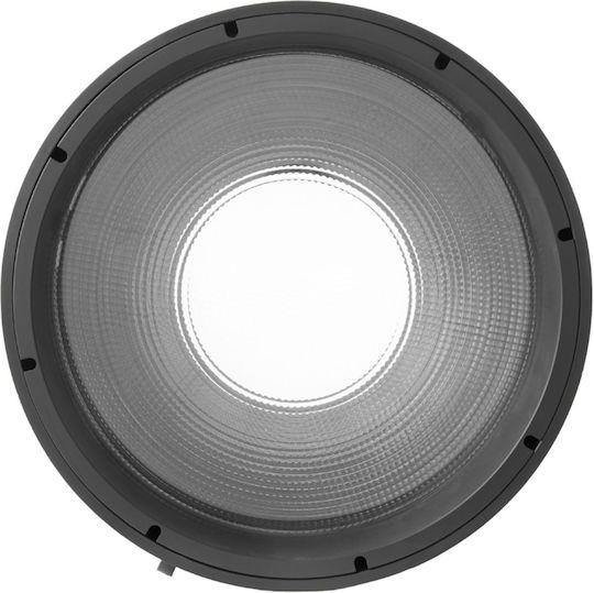 Amaran Fresnel Ray