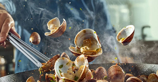 Tefal Excellence Τηγάνι από Αλουμίνιο με Κεραμική Επίστρωση 24cm