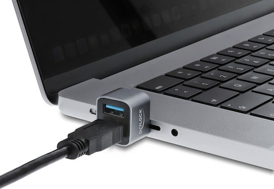 Delock Mini USB-Hub 64359 2x USB 3.2 10Gbps USB-C Verbindung Grau