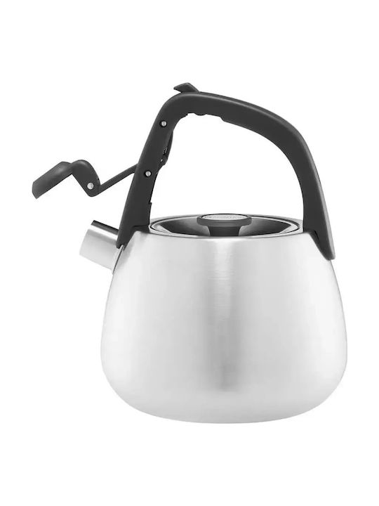 Ambition Βραστήρας Ανοξείδωτος Γκρι 2700ml