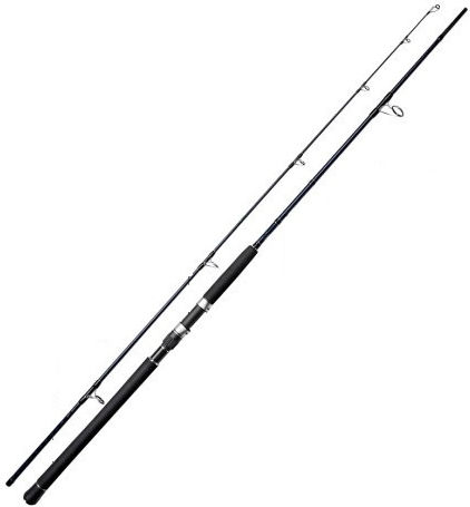 Noeby Fishing Rod for Shore Jigging 3.05m with Mechanism 40-160gr