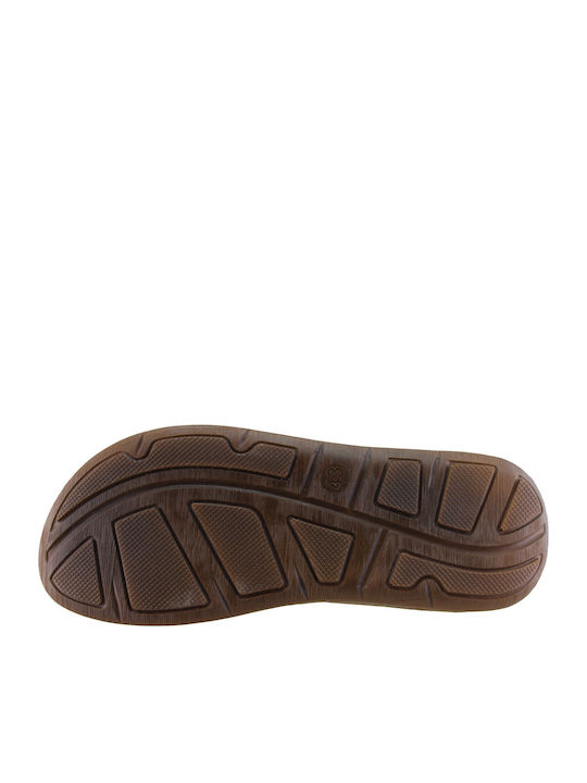 Anatomico Men's Sandals in Brown Color