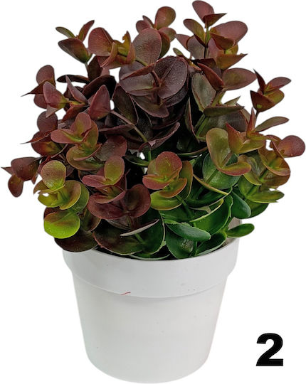 Lukia Topfpflanze Grüne Plastik 19cm 35049 Code 16384 Lukia Topfpflanze Grüne Plastik 19cm 35049 Code 16384