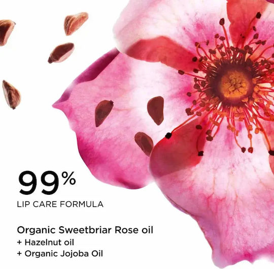 Clarins Lip Comfort Lip Öl 31 Rosy Kiss 7ml