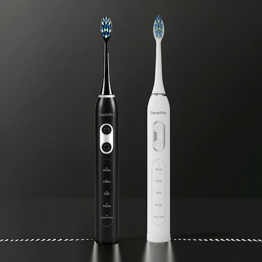 Alpha Dentipro Sonic Toothbrush 2 Pcs