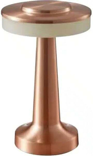Lămpi Decorative Pentru Masă Bianco Reglabil Lămpi Decorative Pentru Masă Bianco Reglabil