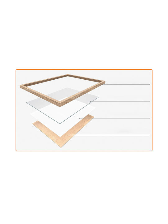 Plastic Photo Frame With Transparent Frame