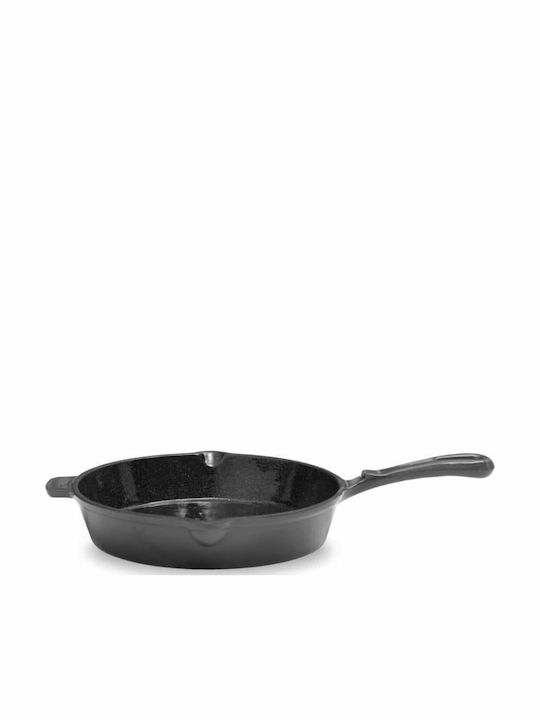 Cast Iron Pan with Enamel Coating