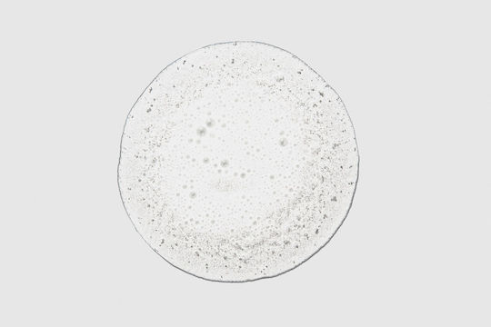 Paul Mitchell Paul Mitchell Shampoo für Empfindliche Kopfhaut 300ml