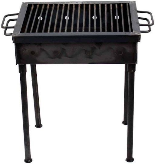 Metallischer Holzkohlegrill 40x30 cm 5207
