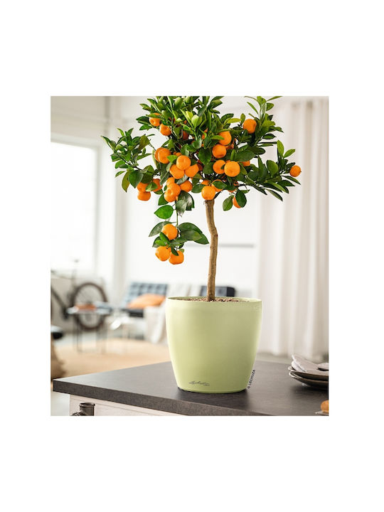 Lechuza Пластмасова Саксия За Цветя Пясъчен Кафяв 28x28x26см