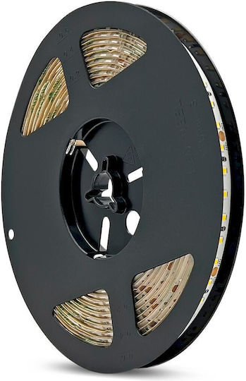 Geyer Waterproof LED Strip 24V Cold White Light 5m