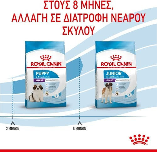 Royal Canin Junior Giant 15kg Hrană Uscată pentru Căţei de Rase Mari cu Orez și Păsări de curte
