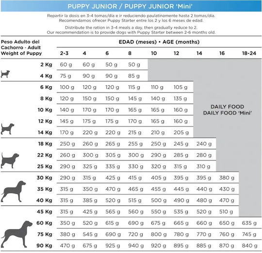 Dingonatura Puppy Junior 12kg Hrană Uscată pentru Căţei cu Pui și Orez