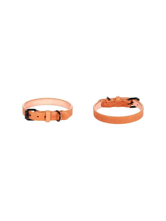 Flamingo Κολάρο Σκύλου Collar Leano Cognac Xs 21-26cm X 10mm