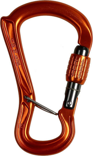 Kletterkarabiner DMM Ceros Schraubkarabiner Orange