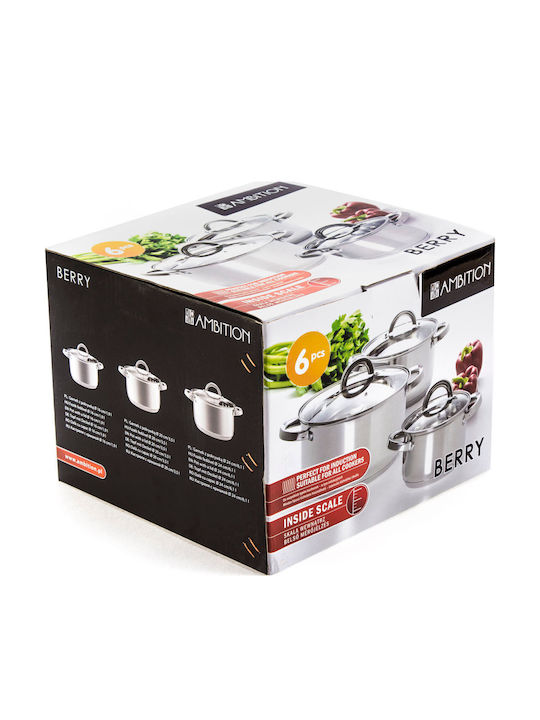 Ambition Pots Set of Stainless Steel with No Coating 6pcs