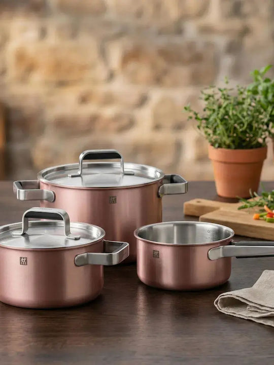 Zwilling J.A. Henckels Pure Σετ Κατσαρόλες από Ανοξείδωτο Ατσάλι 3τμχ