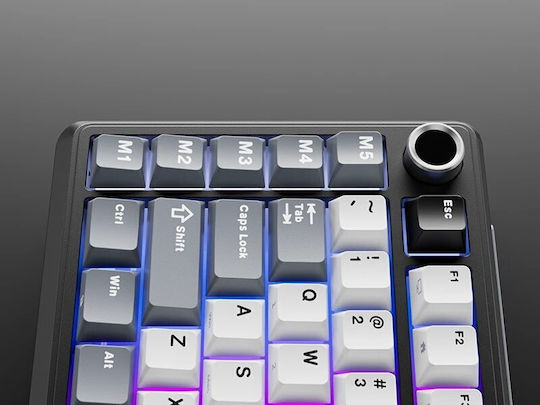 Royal Kludge RK-L75 Wireless Gaming Mechanical Keyboard 75% with Custom Cream switches and RGB lighting (English US) Gray