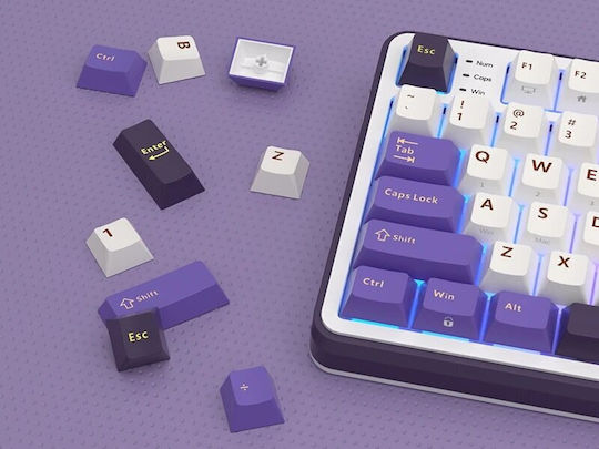 Royal Kludge RK-S98 Wireless Gaming Mechanical Keyboard 96% with Custom Brown switches and RGB lighting (English US) Purple