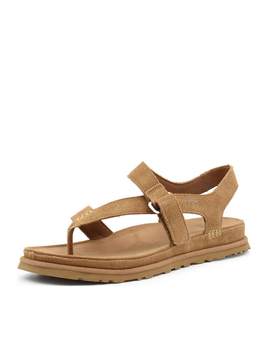Women's Sandals Brown