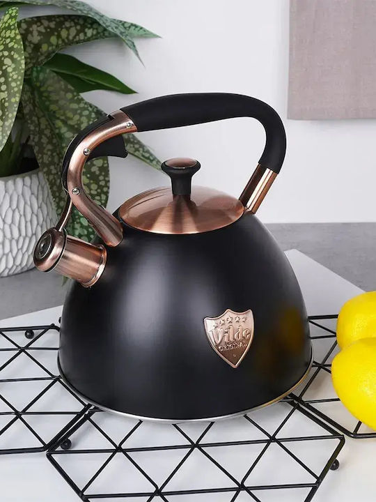 Orion Βραστήρας με Κούπα Ανοξείδωτος Μαύρη 3000ml