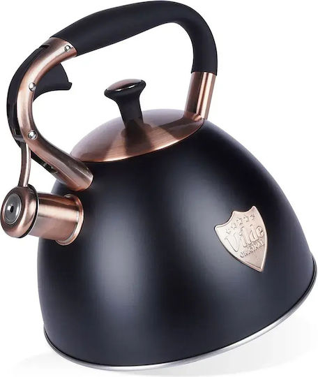 Orion Teekessel mit Tasse Rostfreier Stahl Schwarze 3000ml
