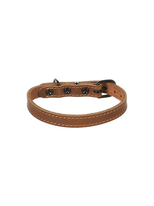 Flamingo Hundehalsband Montana Leder Cognac M Groß 38,5-48,5cm x 25mm Flamingo Hundehalsband Montana Leder Cognac M Groß 38,5-48,5cm x 25mm