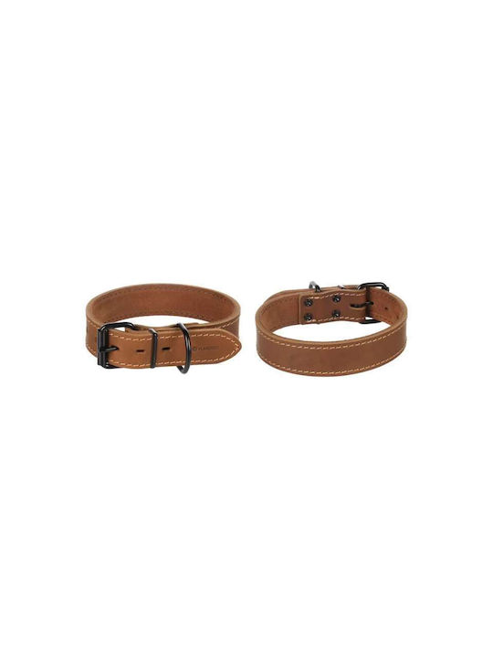 Flamingo Hundehalsband Montana Leder Breite Cognac M 35-45cm x 35mm