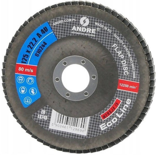 Andre 125mm P40 Eco Line Schleifscheibe Variante Iv