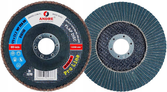Andre Flap Disc 125mm P 80 Zirconium Pro Line Version Iv