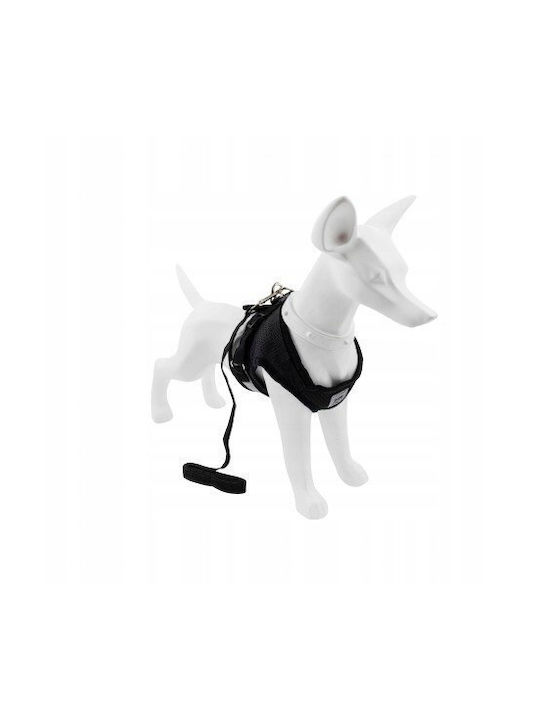 Set Harness + Leash Dog Black Polyester Size Xl Reflective Elements