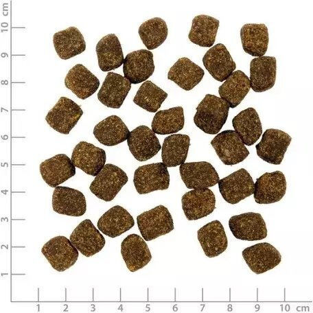 Wolfsblut 0.1kg Ξηρά Τροφή Σκύλων με Κουνέλι, Λαγό και Πατάτες