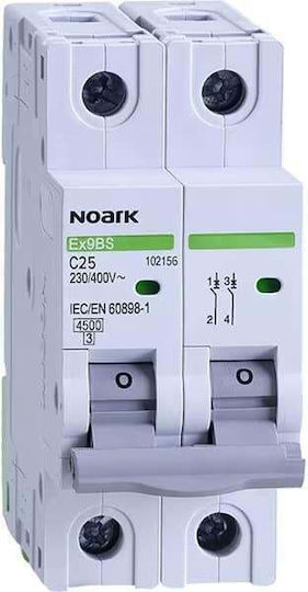 Automatic Circuit Breaker 2 Poles 20a Noark Gray 110087