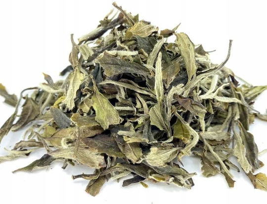 Teasome Loose White Tea White Peony 25 G
