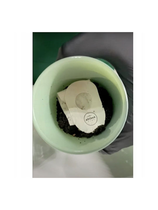 Lumânare Aromatică cu Miros de Pătrunjel 150 G Unisex