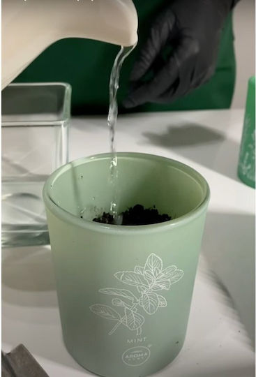 Lumânare Aromatică cu Miros de Pătrunjel 150 G Unisex