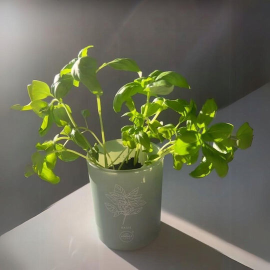 Lumânare Aromatică cu Miros de Pătrunjel 150 G Unisex