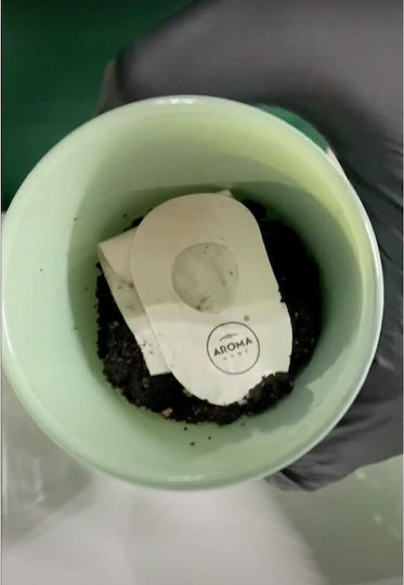 Aroma Home Thyme Scented Candle 150 G Unisex