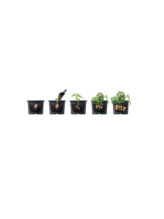 Blumentopf Schwarz