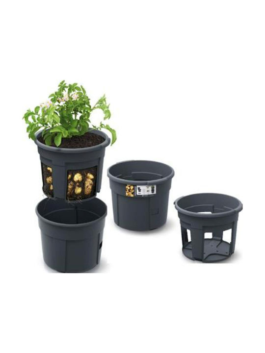 Blumentopf Schwarz