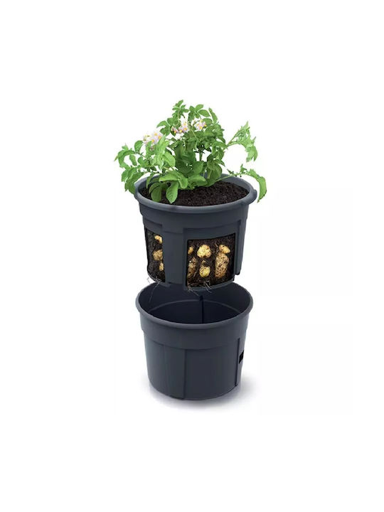 Blumentopf Schwarz