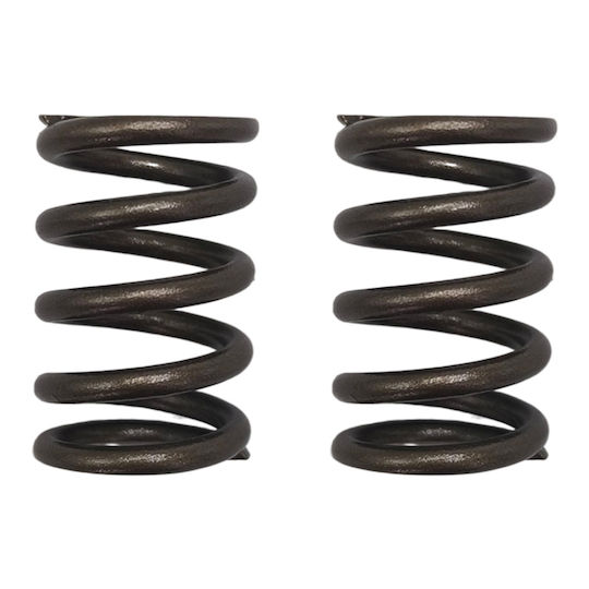 Oko Motorcycle Cylinder Head Valve Spring Yamaha Crypton R 115