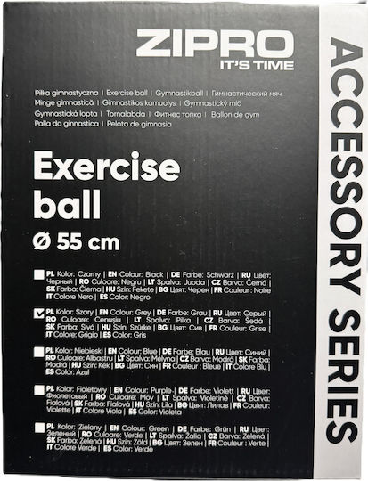 Zipro Ball Pilates 55cm 0.9kg in Gray Color