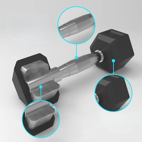 inSPORTline Hexagon Dumbbell 1 x 10kg