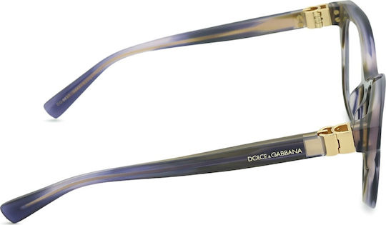 Women's Acetate Dolce & Gabbana 0dg3437 3447 53