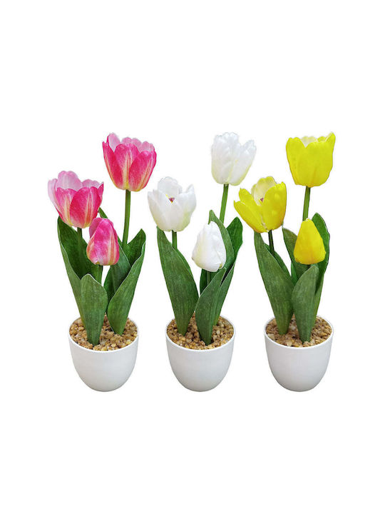 Topfpflanze 3 Tulpen 34 cm 3 Farben 1 Stück