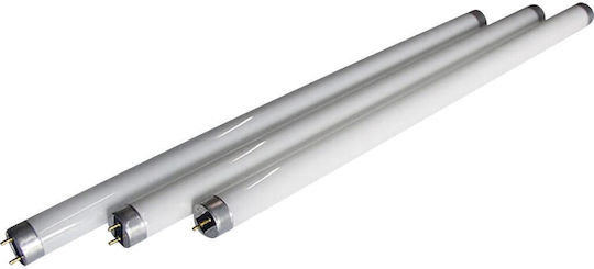Geyer Lampă Fluorescentă T5 Uv-a Bl365 4w